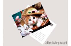 China Promotion Cartoon 3D Lenticular Postcard / Flip Lenticular Image Printing supplier