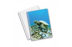 China Hot Selling School Stationery 3D Lenticular Printing Diary Notebook for Souvenir supplier