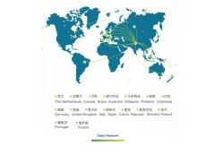 China Biogas CHP manufacturer