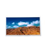 10.1 Inch TFT LCD Screen Module 1024X600 M101GWN9 R0 TFT LCD Panel for sale
