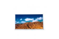 China 10.1 Inch TFT LCD Screen Module 1024X600 M101GWN9 R0 TFT LCD Panel supplier