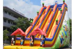 China Backyard Dry and Wet Slides With Silk - Screen Printing  / Inflatable Pool Slide supplier