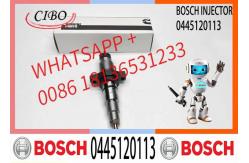 China High Quality Diesel Fuel Injector 0445120255, 044512010, 0445120113 supplier