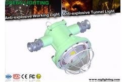 China IP67 Led Tunnel Lighting Explosion Proof Die - Casting Aluminum Housing supplier