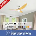 Modern Design 1stshine Ceiling Fan with ABS Plastic Blades and Remote Control Light