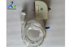 China Phased Array Ultrasound Transducer Probe Siemens  P5-1 supplier