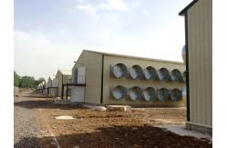 China Prefab Steel Structure Chicken House Fireproof Farm Steel Frame Building Construction supplier