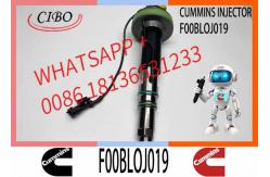 China 4955524 F00BL0J019 Common Rail Fuel Injector For QSK19 QSK60 Engine supplier