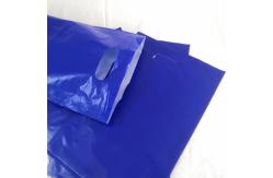 China Luxury Handle Shopping Bag With Logo Printing Custom Plastic Shopping Bag supplier