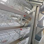 Latest Design A Type Baby Chick Cage With Drinking 13 Chicks / Cell for sale