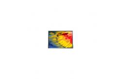 China 13.5 inch 32GB IPS Panel wireless intelligent cloud digital photo frame supplier