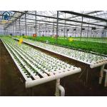 Agricultural Lettuce Hydroponic Growing System NFT Vertical Hydroponic System for sale