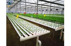 China Agricultural Lettuce Hydroponic Growing System NFT Vertical Hydroponic System supplier