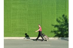 China PE Monofilament 5/8'' Artificial Turf Grass Wear Resistant Non Pollution supplier