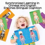 Children Education Magnetic Jigsaw Puzzle For Human Body Cognition for sale