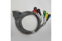 China DMS Compatible Holter ECG Cable 7 Leads 15 Pin With Leadwires Snap Durable supplier