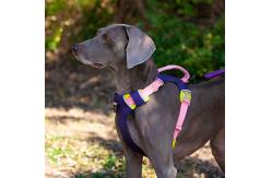 China Adjustable Reflective  Oxford Large Dog Harness Leash Set With Easy Control supplier