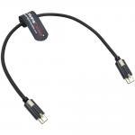 Alvin's Locking USB C to USB C Cable for Blackmagic Pyxis URSA 12in for sale
