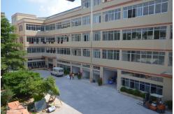 China Peruvian Human Hair manufacturer