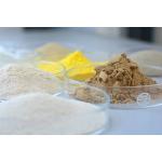 Extend Shelf Life Of Bread With Bakery Enzyme Function 2 Optimize Gluten Network Powder for sale