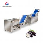 Multifunctional Vegetable And Fruit Processing Line Hair Roller Bubble Cleaning Production Line for sale