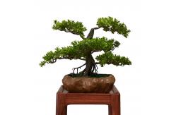 China OEM High Imitation Artificial Landscape Trees For Airports supplier