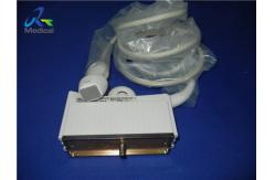 China Siemens Acuson 4V1c Ultrasound Transducer Probe Phased Array supplier