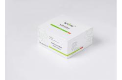 China 15 Minutes FSH Prolactin Test Kit Follicle Stimulating Hormone Detection Reagent supplier