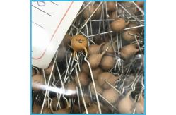 China Electronic Ballast MZ5 105C PTC Thermistor 300R PTC Positive Temperature Coefficient supplier