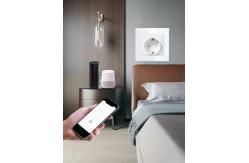 China WIF Smart Power Outlet Remote Control Zigbee Outlet Socket Power Monitoring supplier