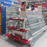 43X41X41 CM wire Poultry Cage 4 tiers A Frame Layer Cages for sale