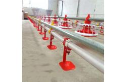 China 220V 50Hz Poultry Nipple System Automatic Nipple Drinker Chicken supplier