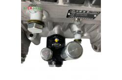 China Fuel Injection Pump BHT6P120R 612601080915 for WD615 WD618 Engine supplier