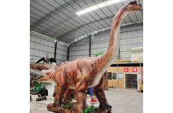 China Jurassic World Diplodocus Model Brachiosaurus Model supplier