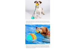 China Grind Teeth Dog Bite Training Toys OEM Dog Toy Suction To Floor supplier
