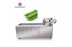 China Residues Degraded Conveyor Belt Fruit And Vegetable Washing Machine 1000KG/H supplier