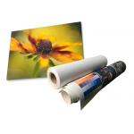 Latex Matte Waterproof Polyester Canvas Roll Eco Solvent 280gsm for sale