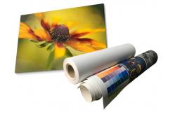 China Latex Matte Waterproof Polyester Canvas Roll Eco Solvent 280gsm supplier