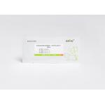3 Min 5ul  CRP Rapid Test Kit SAA Detection Reagents Sample for sale