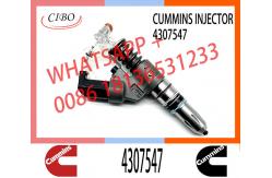 China M11 Engine Injector 4307547 4928517 4903472 3411756 3080429 2080429 supplier