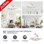 230V Dc Motor Retractable Ceiling Fan Light Acrylic Lamp shade