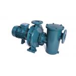 Energy Saving Water Heater Pump , High Performance Hot Water Recirculating Pump for sale