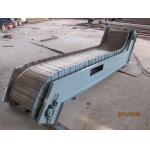                  Support Custom Made Expandable Flexible Power Model Conveyor              for sale