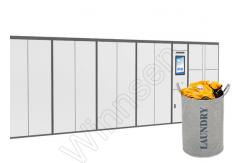 China Smart Outdoor Remote Laundry Dry Clean Locker With Touch Screen supplier