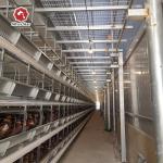 Q235 Automatic Chicken Layer Poultry Cage Corrosion Resistance for sale