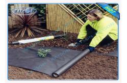 China Polypropylene Landscape Fabric Without UV - Resistance For Ground Control supplier