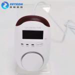 LPG Methane Household Gas Alarm ABS Plastic With LED Display AC 220V 50HZ for sale