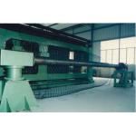 80×100mm PVC coated  Hexagonal  Wire Net Making Machine 195m/H