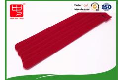 China T shape custom logo  cable ties roll self griping with injection hook supplier