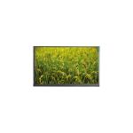 NEW 14.0 inch N140BGE-LB3 1366*768 40 pins LCD Panel Display for sale